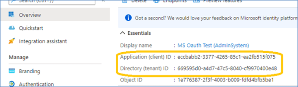 Übersicht mit IDs von client und tenant im Abschnitt Essentials