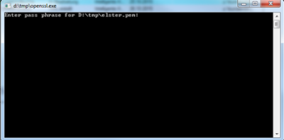 Bild 6: openSSL-Abfrage (PIN-Eingabe)